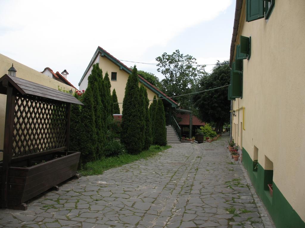 Pensiunea Sub Cetate Cisnadie Exterior photo