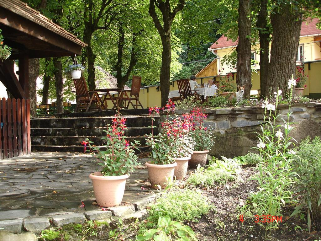 Pensiunea Sub Cetate Cisnadie Exterior photo